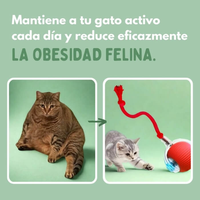Juguete Pelota Recargable Para Mascota