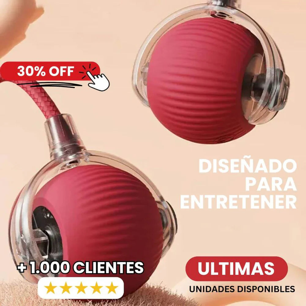 Juguete Pelota Recargable Para Mascota