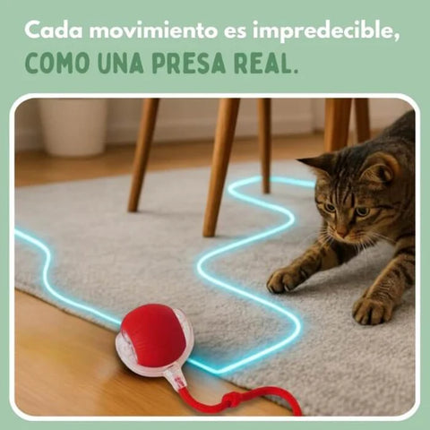 Producto