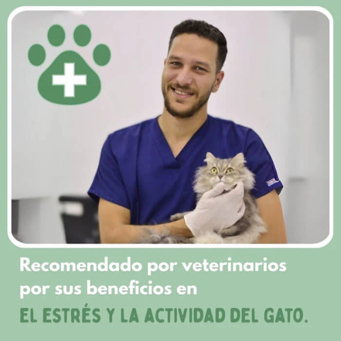Juguete Pelota Recargable Para Mascota